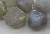 CNG5391 15.5 inches 10*14mm - 20*25mm faceted nuggets agate beads