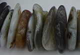 CNG5432 5*20mm - 8*25mm nuggets botswana agate gemstone beads