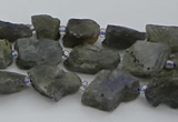 CNG5527 15.5 inches 6*8mm - 10*15mm nuggets labradorite beads