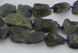 CNG5528 15.5 inches 10*14mm - 15*20mm nuggets labradorite beads