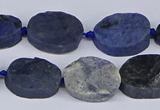 CNG5564 15.5 inches 12*16mm - 18*22mm freeform blue dumortierite beads