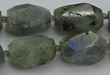 CNG5586 12*16mm - 15*25mm faceted nuggets labradorite beads