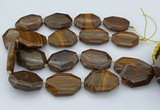 CNG5597 20*30mm - 35*45mm faceted freeform tiger iron beads