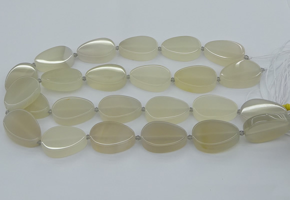 CNG5660 15.5 inches 22*30mm freeform agate gemstone beads