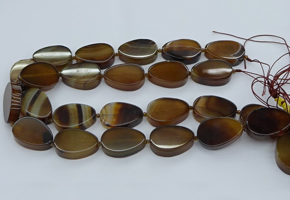 CNG5667 15.5 inches 22*30mm freeform agate gemstone beads