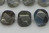 CNG5722 15.5 inches 12*16mm - 15*20mm faceted freeform labradorite beads