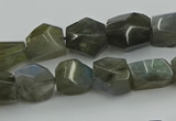 CNG5753 15.5 inches 10*12mm - 12*16mm faceted nuggets labradorite beads