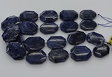 CNG5765 15.5 inches 20*30mm - 35*45mm faceted freeform sodalite beads