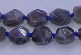 CNG5790 10*12mm - 10*14mm faceted freeform labradorite beads