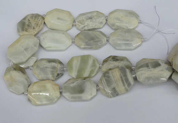 CNG5834 15.5 inches 20*30mm - 35*45mm faceted freeform moonstone beads