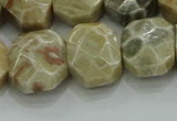 CNG5865 8*12mm - 12*16mm faceted freeform chrysanthemum agate beads