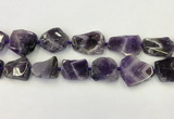 CNG6946 15.5 inches 22*25mm - 25*30mm freeform amethyst beads