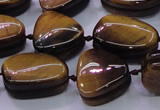 CNG696 15.5 inches 13*18mm - 15*16mm freeform yellow tiger eye beads