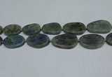 CNG7052 15.5 inches 25*35mm - 30*45mm freeform labradorite beads