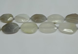 CNG7081 15.5 inches 25*35mm - 35*45mm faceted freeform agate beads