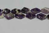 CNG7090 15.5 inches 25*35mm - 35*45mm faceted freeform amethyst beads