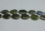 CNG7098 25*35mm - 35*45mm faceted freeform labradorite beads