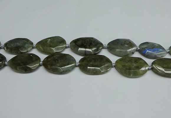 CNG7098 25*35mm - 35*45mm faceted freeform labradorite beads