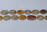 CNG7111 15.5 inches 18*25mm - 20*33mm freeform birdeye rhyolite beads