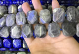 CNG7480 15.5 inches 18*25mm - 20*28mm faceted freeform labradorite beads