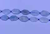 CNG7511 15.5 inches 25*35mm - 30*40mm faceted freeform aquamarine beads