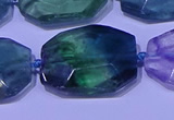 CNG7521 15.5 inches 18*25mm - 25*35mm faceted freeform fluorite beads