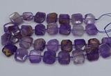 CNG7560 15.5 inches 18*25mm - 20*28mm faceted freeform ametrine beads