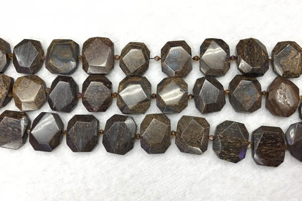 CNG7568 15.5 inches 18*25mm - 20*28mm faceted freeform bronzite beads