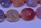 CNG7620 12*14mm - 13*15mm faceted freeform red botswana agate beads