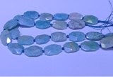 CNG7625 20*30mm - 22*32mm faceted freeform amazonite beads