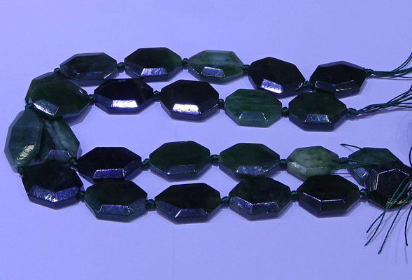 CNG7627 20*30mm - 22*32mm faceted freeform Canadian Jade beads