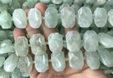 CNG7753 13*18mm - 15*25mm faceted freeform light prehnite beads