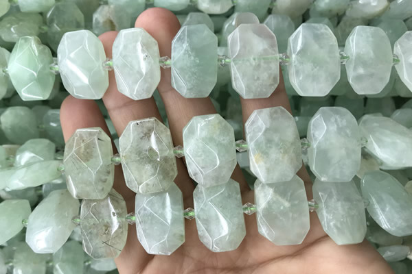 CNG7753 13*18mm - 15*25mm faceted freeform light prehnite beads