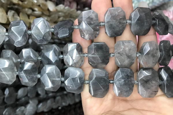 CNG7755 13*18mm - 15*25mm faceted freeform cloudy quartz beads