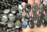 CNG7774 13*18mm - 15*25mm faceted freeform labradorite beads