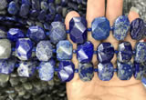 CNG7775 13*18mm - 15*25mm faceted freeform lapis lazuli beads