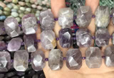 CNG7777 15.5 inches 13*18mm - 15*25mm faceted freeform amethyst beads