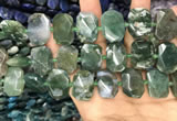 CNG7783 15.5 inches 13*18mm - 15*25mm faceted freeform moss agate beads