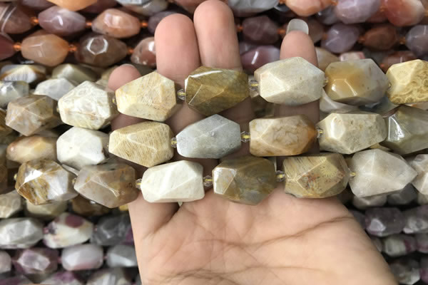 CNG7843 12*16mm - 15*25mm faceted nuggets fossil coral beads