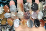 CNG7879 13*18mm - 15*25mm faceted freeform Botswana agate beads