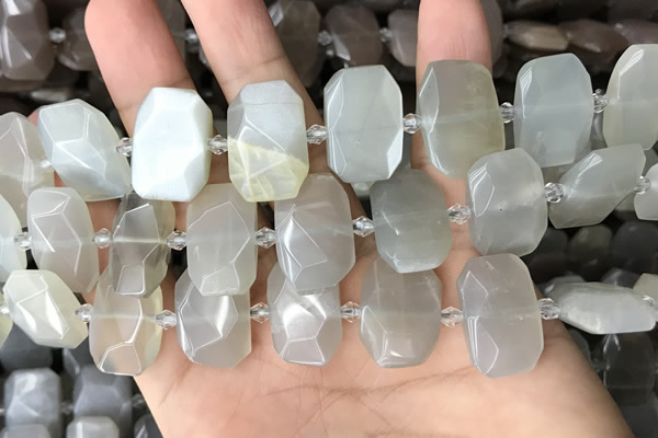 CNG7880 13*18mm - 15*25mm faceted freeform moonstone beads