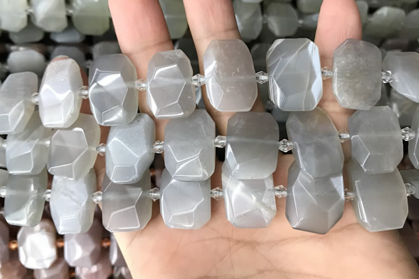 CNG7882 13*18mm - 15*25mm faceted freeform moonstone beads