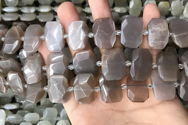 CNG7886 13*18mm - 15*25mm faceted freeform moonstone beads