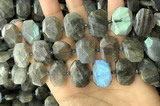 CNG7887 13*18mm - 15*25mm faceted freeform labradorite beads