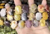 CNG7920 15.5 inches 13*18mm - 15*25mm faceted freeform mookaite beads