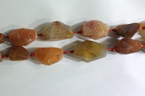 CNG7959 15.5 inches 15*25mm - 20*40mm nuggets agate beads