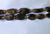 CNG7963 15.5 inches 15*25mm - 20*40mm nuggets yellow tiger eye beads