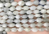 CNG8530 15.5 inches 8*9mm - 9*11mm faceted nuggets moonstone beads