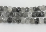 CNG8612 10*13mm - 12*16mm faceted freeform cloudy quartz beads