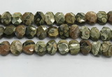 CNG8619 10*13mm - 12*16mm faceted freeform rhyolite beads